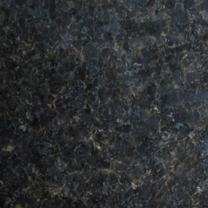 b_labrador_black