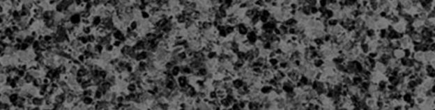 Grigio strada arenastone quartz for kitchen countertops